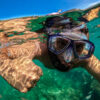 Snorkel