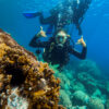 Buceo
