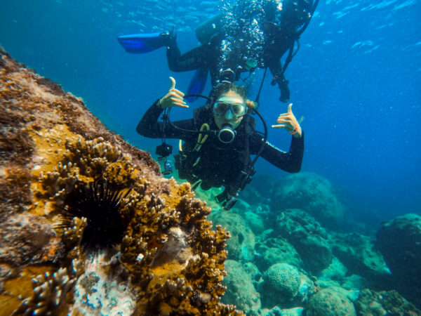 Buceo
