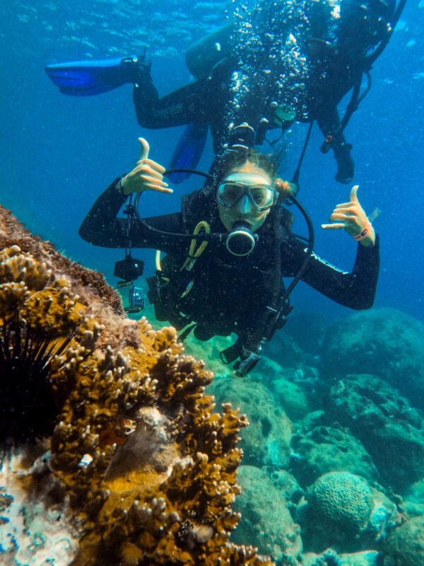 Buceo