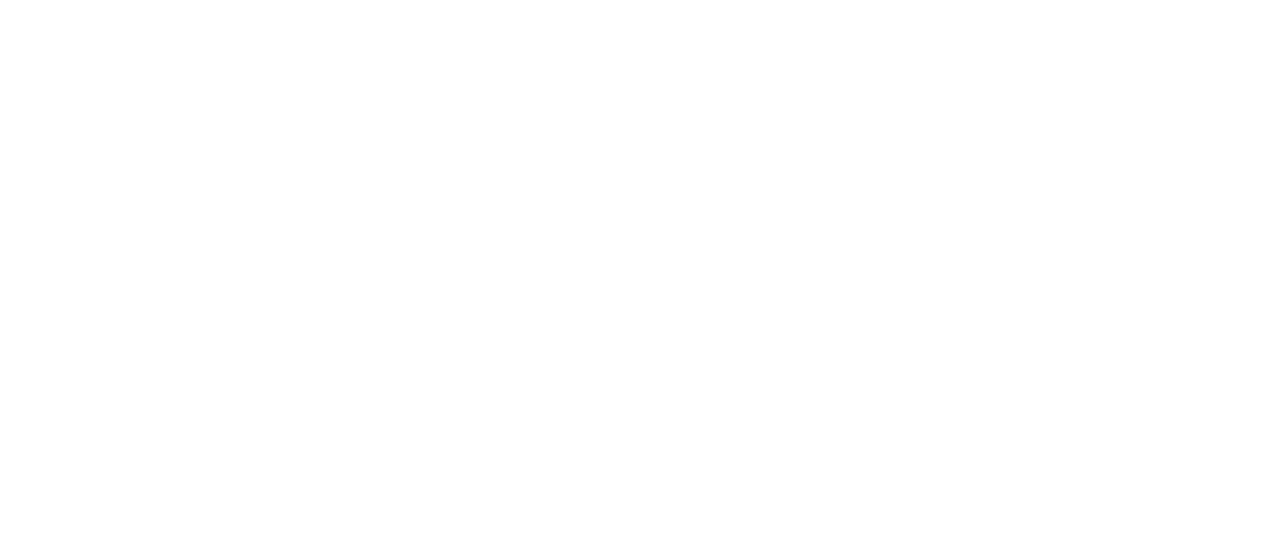 buziosdivetrip.com